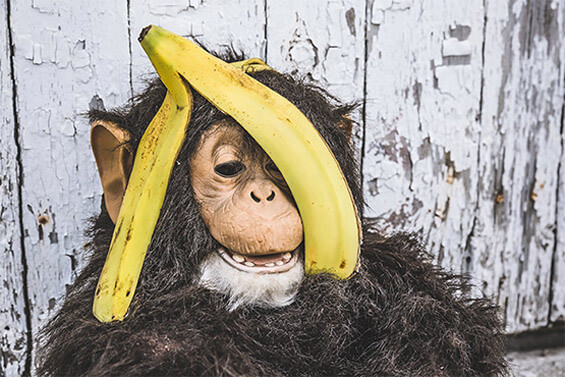 ddos在线攻击测试网站